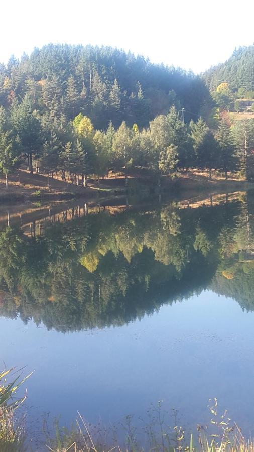 La Varenne Bed & Breakfast Lachapelle-Graillouze Dış mekan fotoğraf